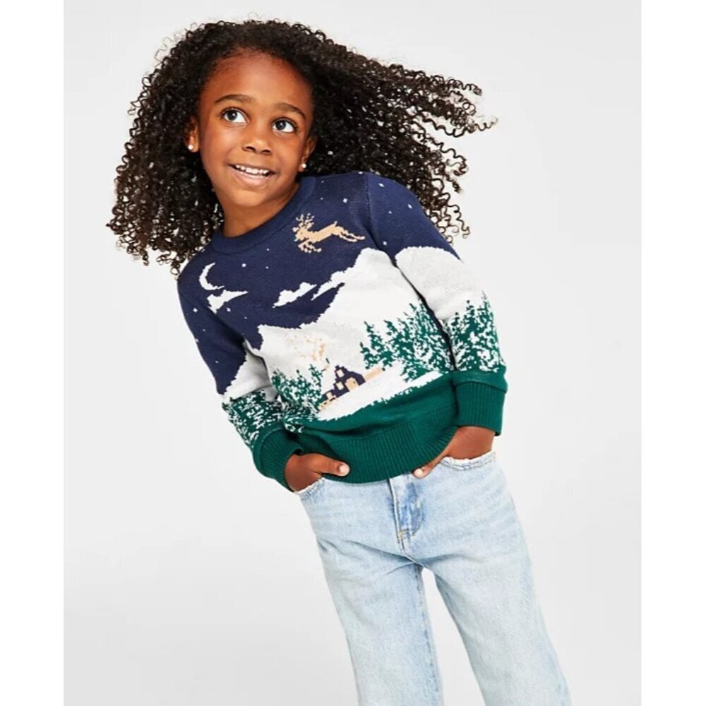 Holiday Lane Toddler Girls Size 2T Snowy Landscape Crewneck Sweater Blue $40 099